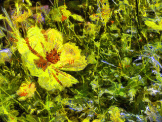 Yellow starburst bush Illustrations creates an impressionist style of painting.