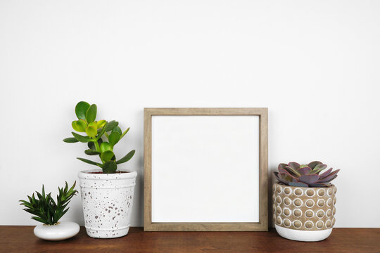 Mock up wood square frame with a variety of succulent plants on a shelf. Wooden shelf against a white wall. Copy space.