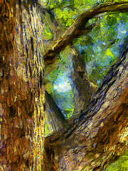 Trunks and branches of a big tree Illustrations creates an impressionist style of painting.