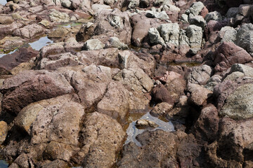 西方海岸の岩場
