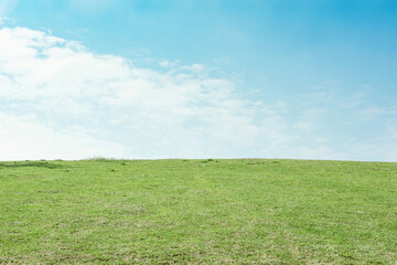 Fototapeta na wymiar field grass and blue sky