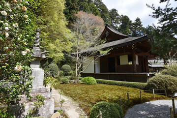 春の寂光院　本堂　京都市大原