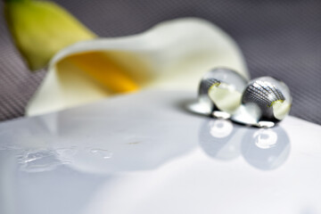 close up of a flower