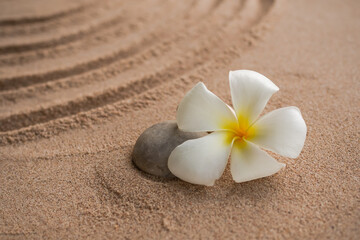 Fototapeta na wymiar Japanese zen garden stone on sand beach. rock or pebbles with plumeria flowers with copy space. for aroma therapy spa on summer holidays. meditation wellness and tranquility Japanese concept.