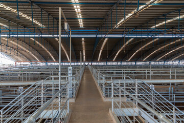 The Central West Livestock Exchange near Forbes in regional Australia