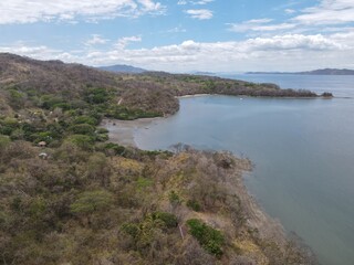 Fototapeta premium A pristine tropical beach in Costa Rica, with palm trees swaying in the breeze, crystal clear water, soft white sand, and vibrant wildlife in the surrounding rainforest.