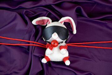 The shibari concept. Toy rabbit tied with a rope. Accessories for sexual games. BDSM concept.