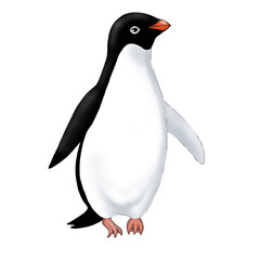 illustration of adelie penguin on white