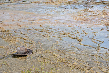 The wonderous amazing landscape of Yellowstone National Park.