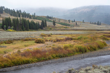 The wonderous amazing landscape of Yellowstone National Park. - 426786410