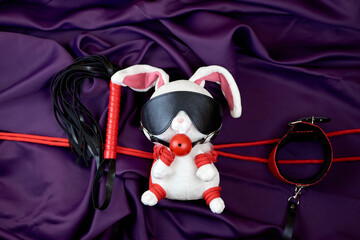The shibari concept. BDSM set and Toy rabbit tied with rope. Accessories for sexual games. BDSM...