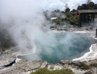 boiling thermal pond steam rising Rotorua New Zealand