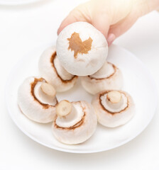 Mushroom champignon with a sign in the shape of a heart
