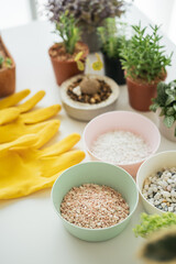 Houseplant equipments on the white table.