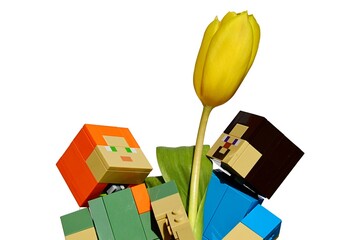 Fototapeta premium LEGO Minecraft action figures of Steve and Alex holding happily together yellow Tulip flower, white background