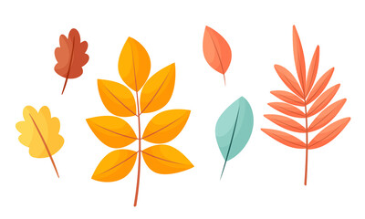 Vector set of autumn leaves in cartoon style. Yellow, red, orange leaves from trees. Isolated on a white background.
