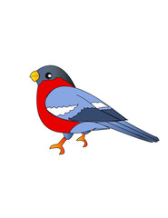Pájaro.