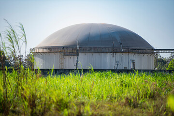 Obraz premium Bio-power plant processed from Nepia grass cultivation