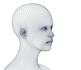 Vector concept or conceptual 3D wireframe Cartoon human female