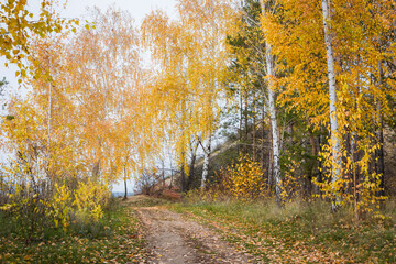 Tsaryov Kurgan, a part of the Volga-Sok mountain system. A limestone quarry was exploited here once, now it's not in use and protected.