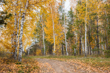 Obraz premium Tsaryov Kurgan, a part of the Volga-Sok mountain system. A limestone quarry was exploited here once, now it's not in use and protected.