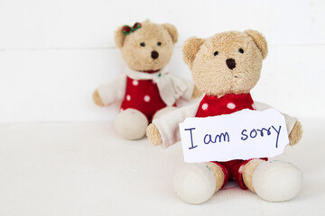 i am sorry message card handwriting with teddy bear  arrangement flat lay postcard style on background white