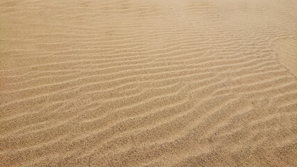 日本の鳥取砂丘の風紋
