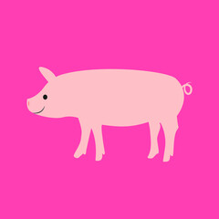 子豚のおしゃれイラスト　
Piglet illustration in pink background