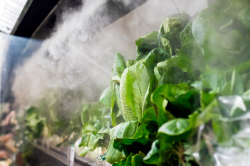 Fresh salad at the supermarked sprayed with mist water from the mini nozzles to keep it more appealing