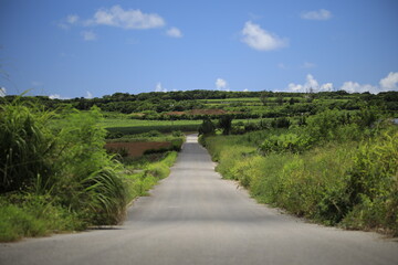 石垣島　夏　ロード　雲　影
