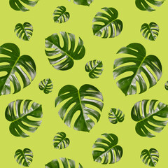 Fototapeta na wymiar Seamless pattern with nature monstera leaves on pastel green background. Tropical camouflage print. Abstract natural pattern.