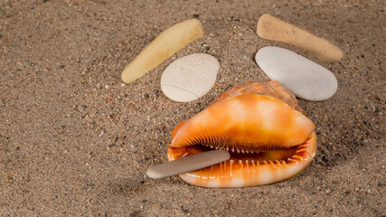 Muschelgesicht im Sand
