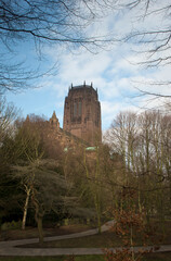 Liverpool's Anglican Cathedral through winter trees, Liverpool, Merseyside, UK.