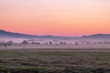 滝上町 牧草地の朝の風景
