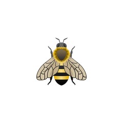 Bee Logo animal Illustrator Template Design
