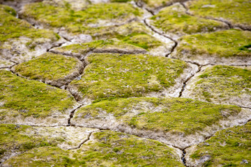 The geology of the once dry and fractured soil