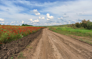 Fototapeta na wymiar Country road among spring fields with flowers and herbs, under a blue sky with clouds