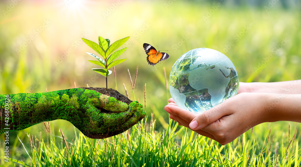 Wall mural concept save the world save environment the world is in the grass of the green bokeh background