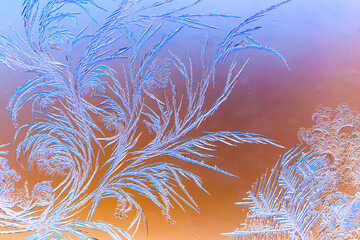 Natural pattern on glass at dawn of the sun.