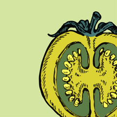 Set of hand drawn tomato. Organic eco food.