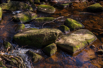Fototapeta na wymiar Gorge in Padley-Peak District National Park, Derbyshire, England. Water flowing over the stones.