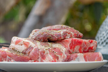 Raw meat in a plate, cut into pieces, seasoned and ready to grill, outdoors. Close-up, small depth of field