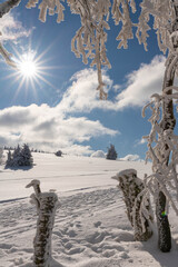 Beautiful winter wonderland in the mountains of Rh&ouml;n in the backlight of a star shaped sun
