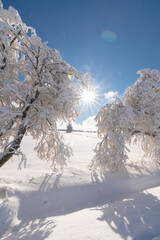 Beautiful winter wonderland in the mountains of Rh&ouml;n in the backlight of a star shaped sun