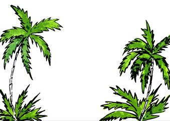 Graphic image of palm trees on a white background