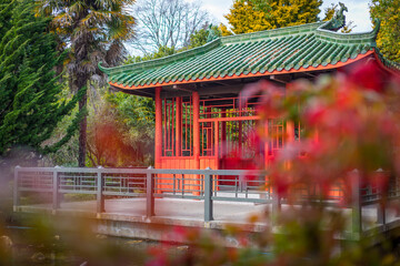 Authentic Chinese garden hideaway surrounded by bamboo and water 