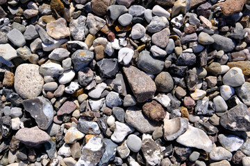 Verschiedene Steine in einem Küstenabschnitt