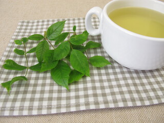 A cup of herbal tea with dog rose leaves