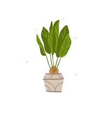 Hand drawn vector abstract stock graphic bohemian clipart illustration with beauty,urban home scandinavian interior design element of green plant in pot isolated on white background