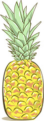 pineapple on a white